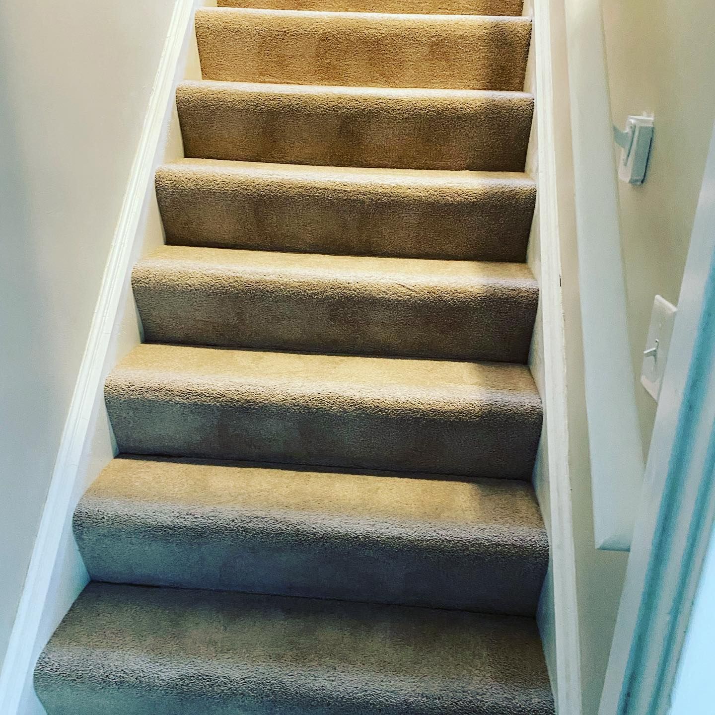 A straight staircase with tan carpeted steps and white risers, viewed from the bottom looking up.