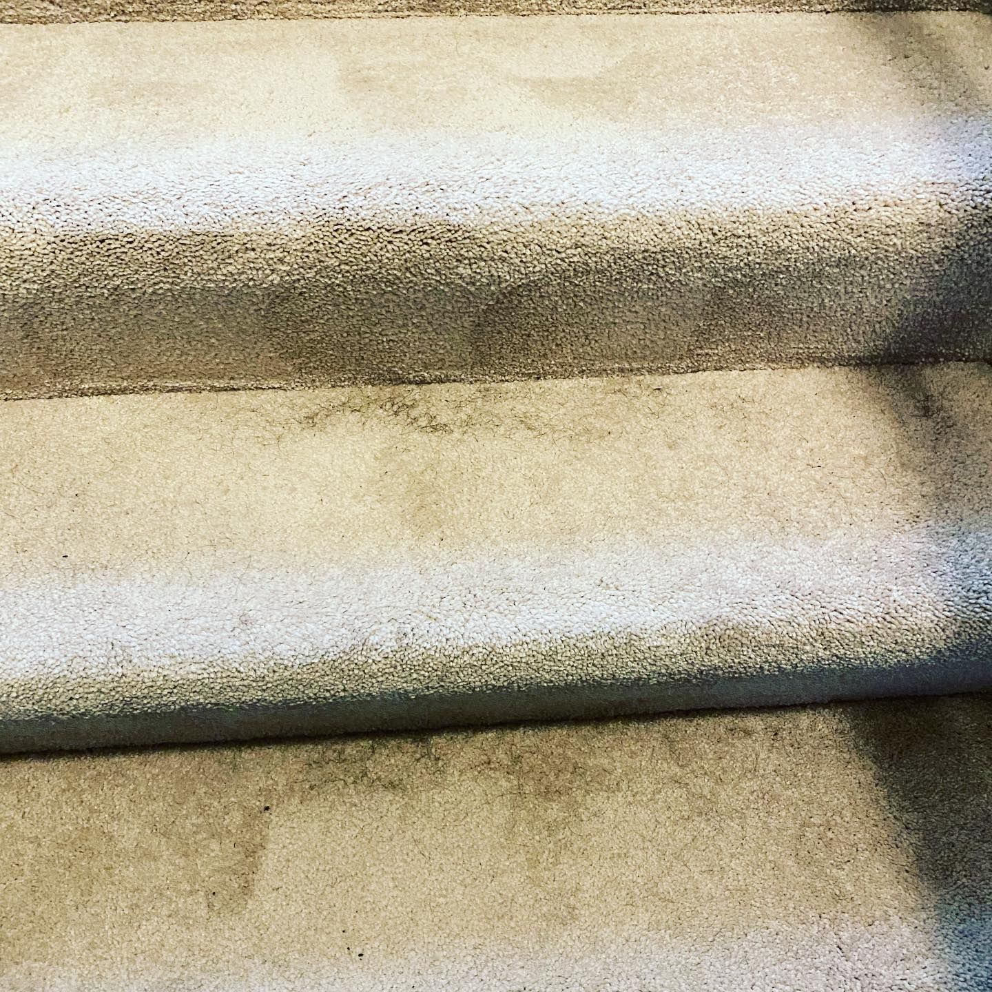 Close-up view of three concrete steps with a textured, speckled surface.