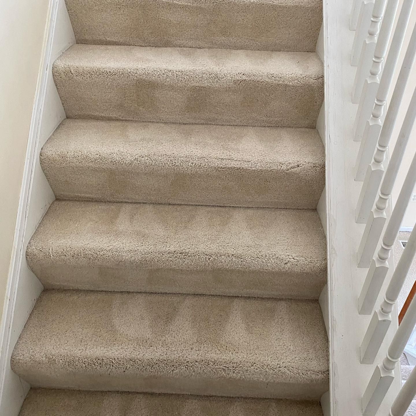 A set of carpeted indoor stairs with light beige carpeting and white wooden railings.