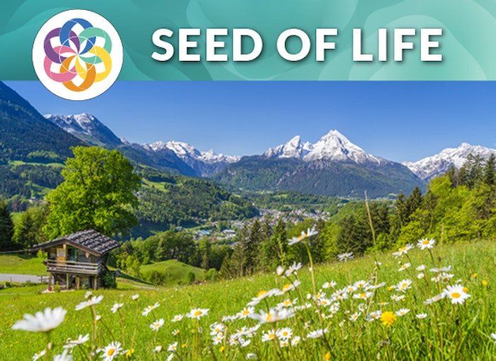 Grass And Mountains — Downers Grove, IL — T. B. Kulat