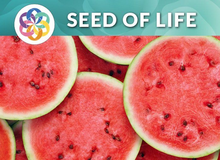 Watermelons — Downers Grove, IL — T. B. Kulat
