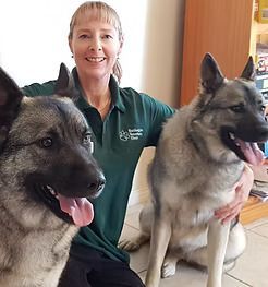 Woman with two dogs; she smiles, wearing green shirt, inside a building. Dogs are gray with tongues out.