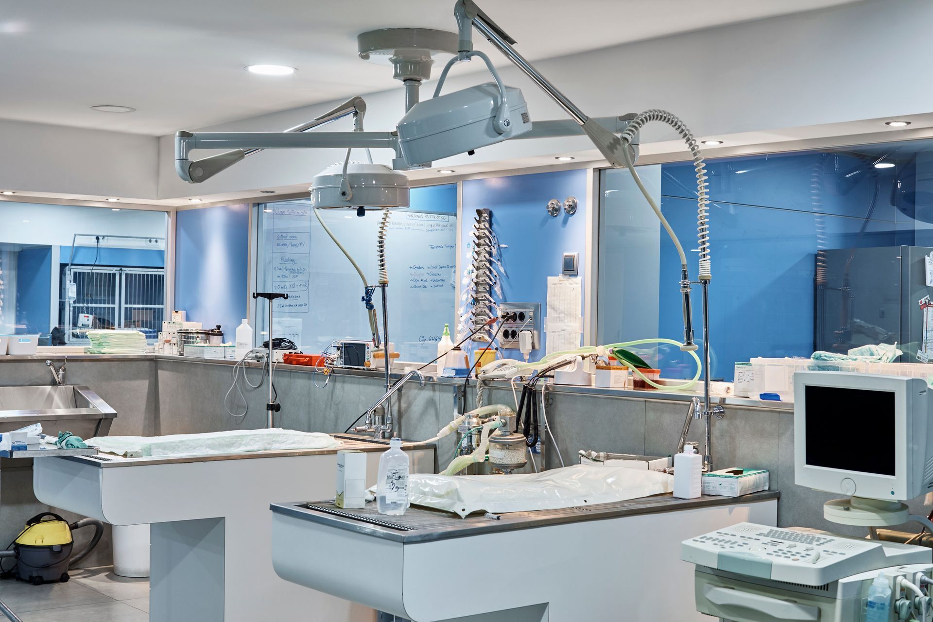 Veterinary operating room with examination tables, medical equipment, and overhead lights.