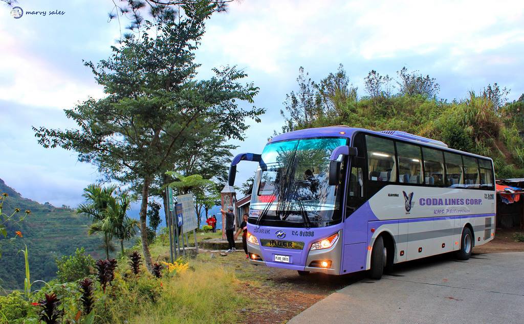 A purple and white bus is parked on the side of a road.