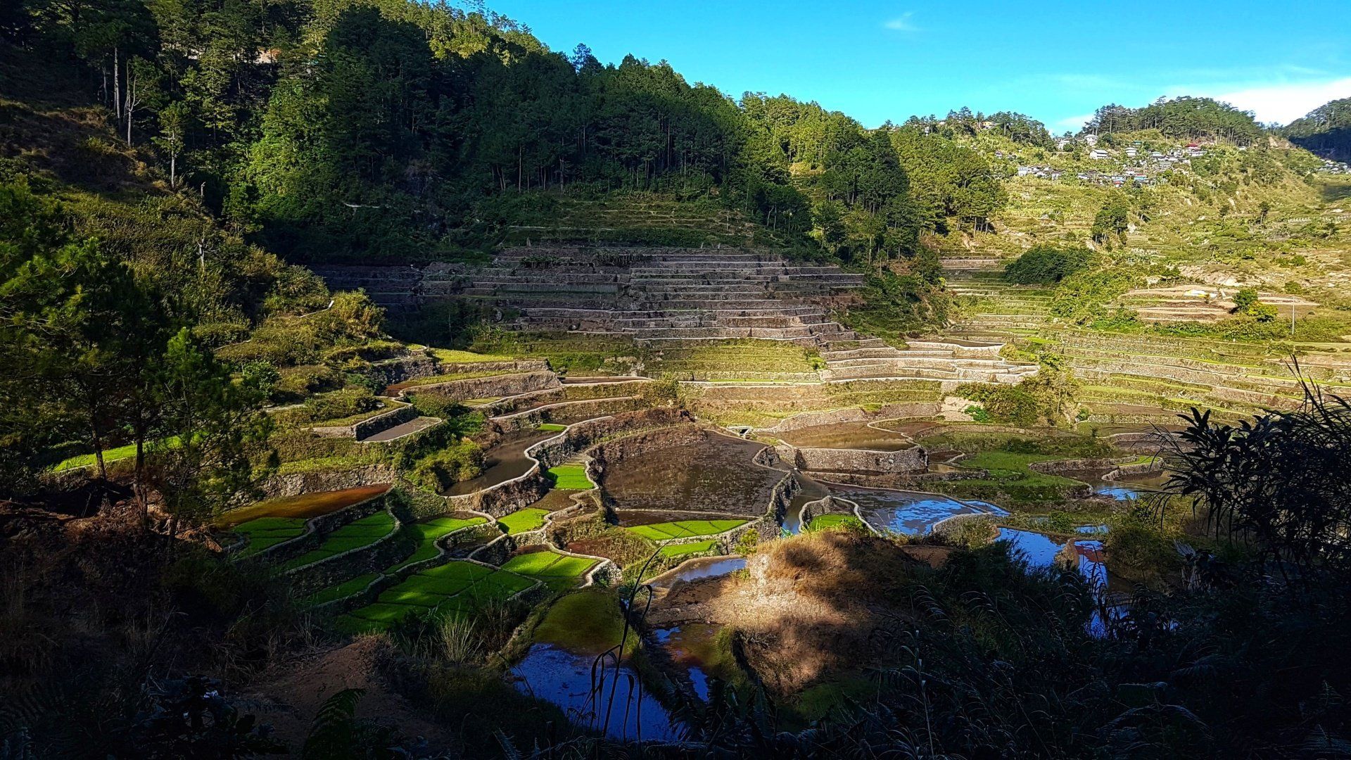 A lush green valley surrounded by trees and a body of water.