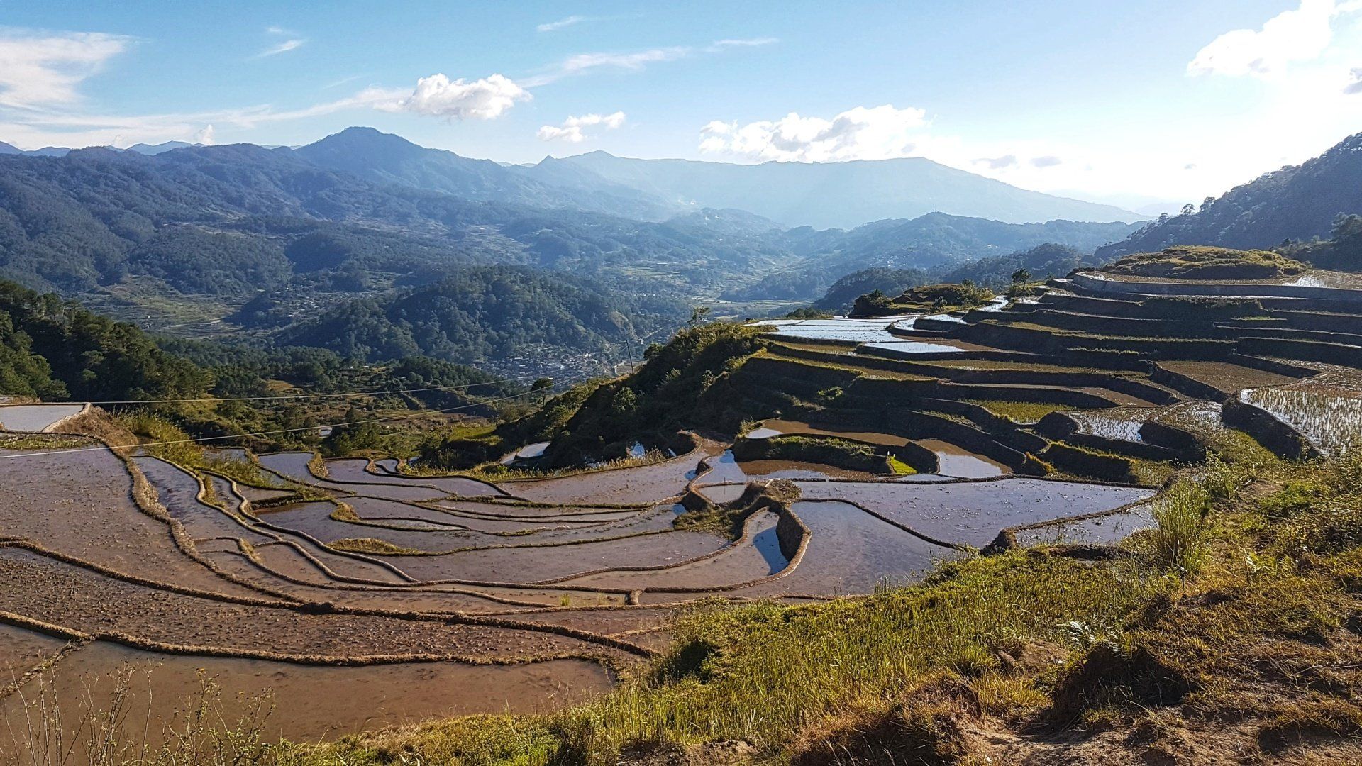 A view of a lush green valley with mountains in the background.