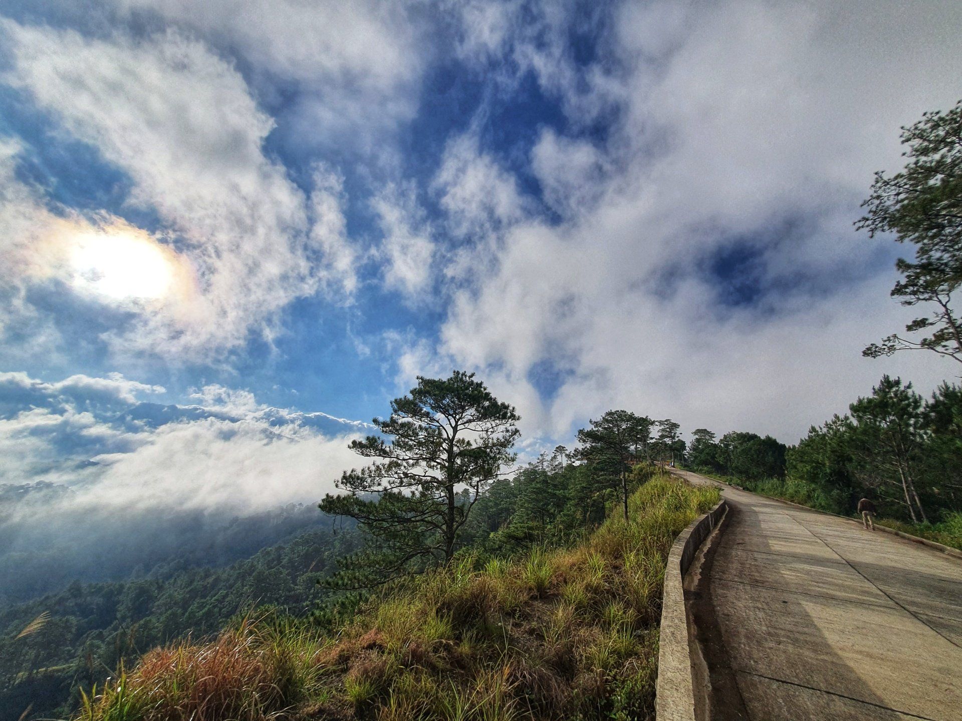 A road going up a hill with trees on the side of it.