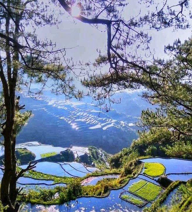 A view of a valley surrounded by trees and water