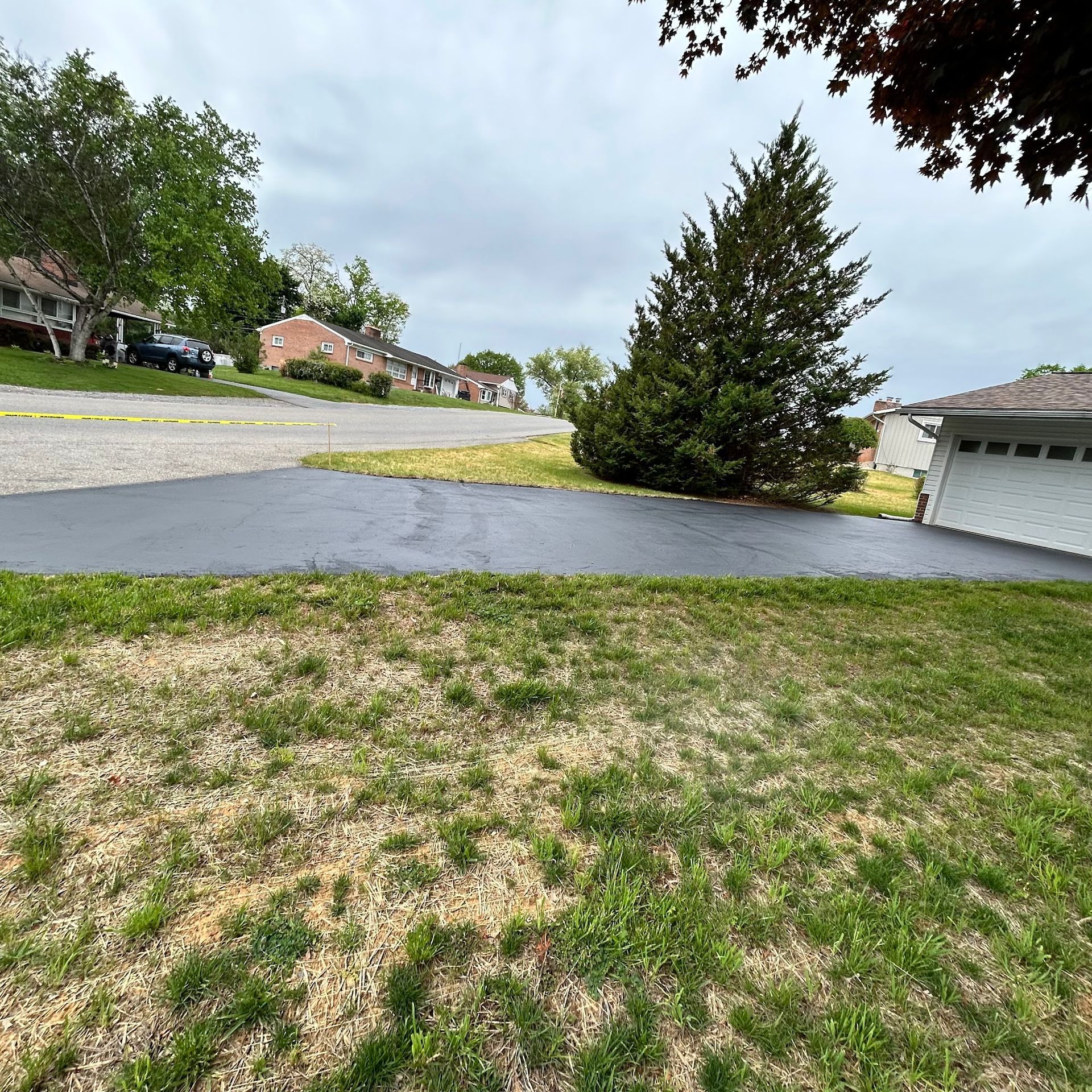 Patchy front lawn beside a driveway with a large evergreen tree and suburban houses under cloudy skies