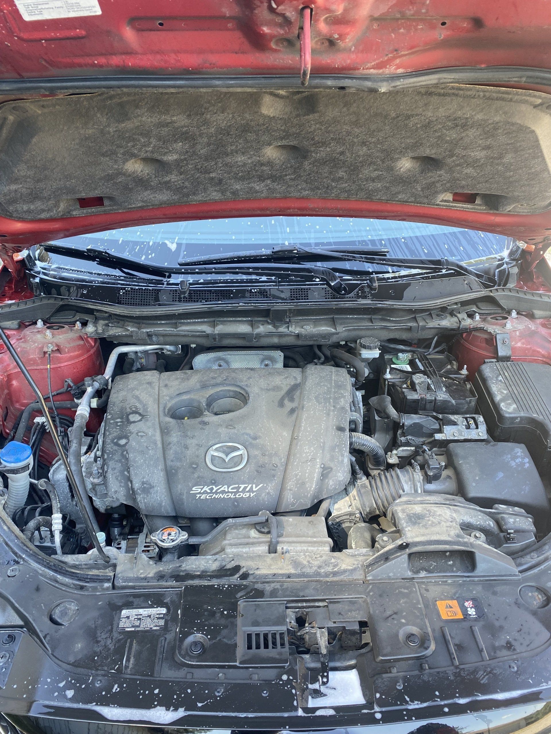Engine Detailing festus