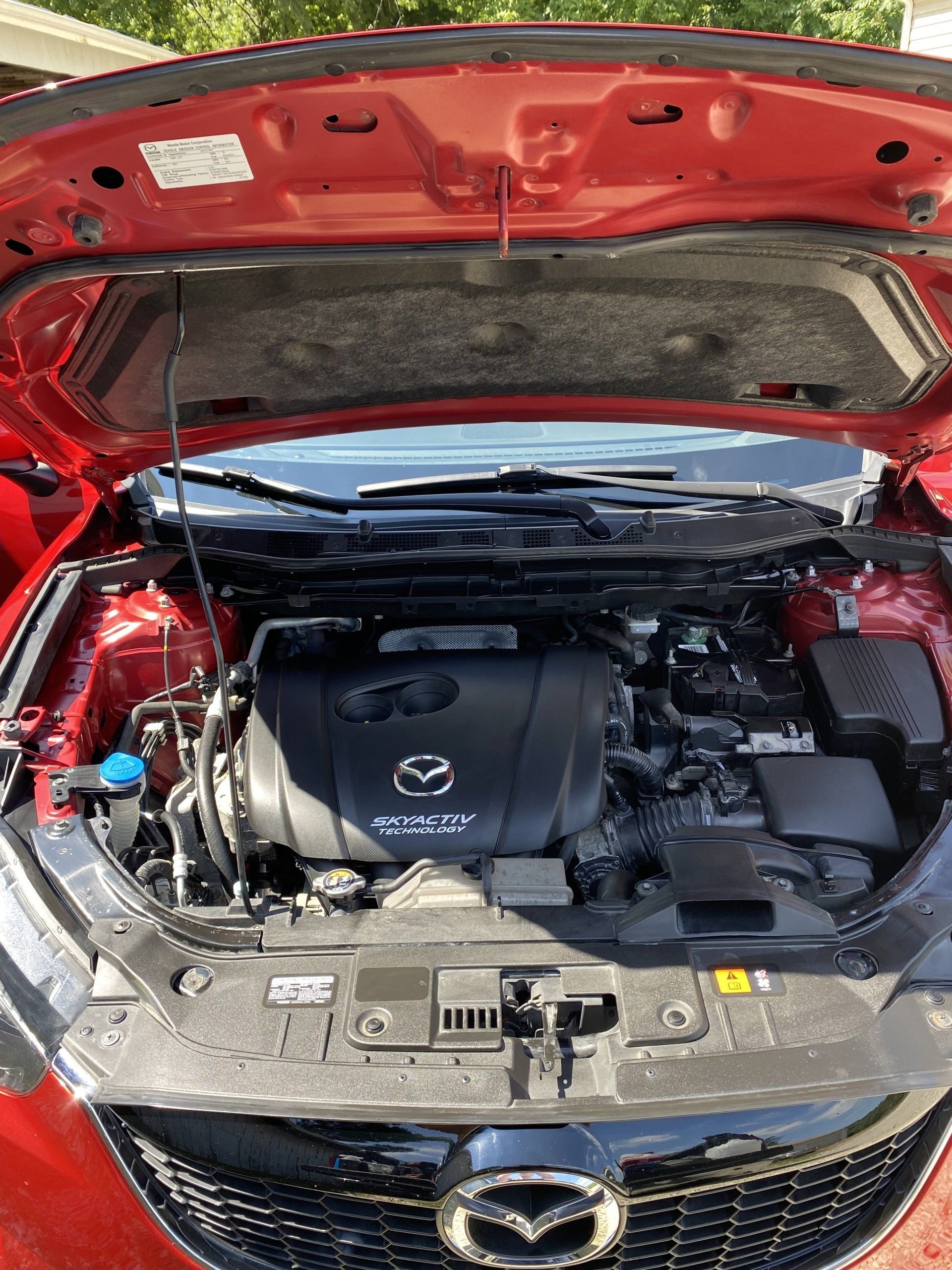 Engine bay cleaning Festus