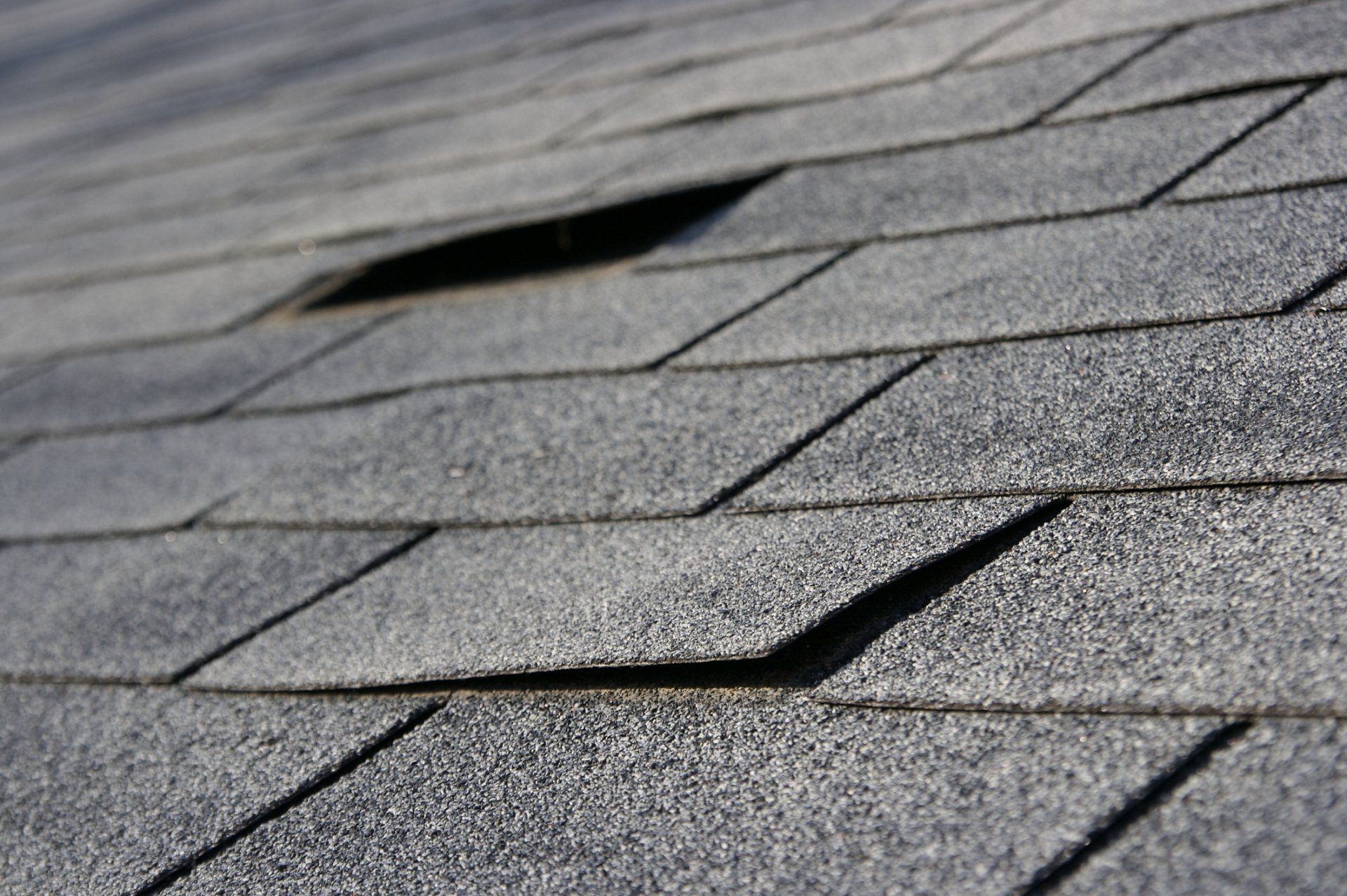 Asphalt Shingle — Bucks County, PAS — Steve's Custom Renovations