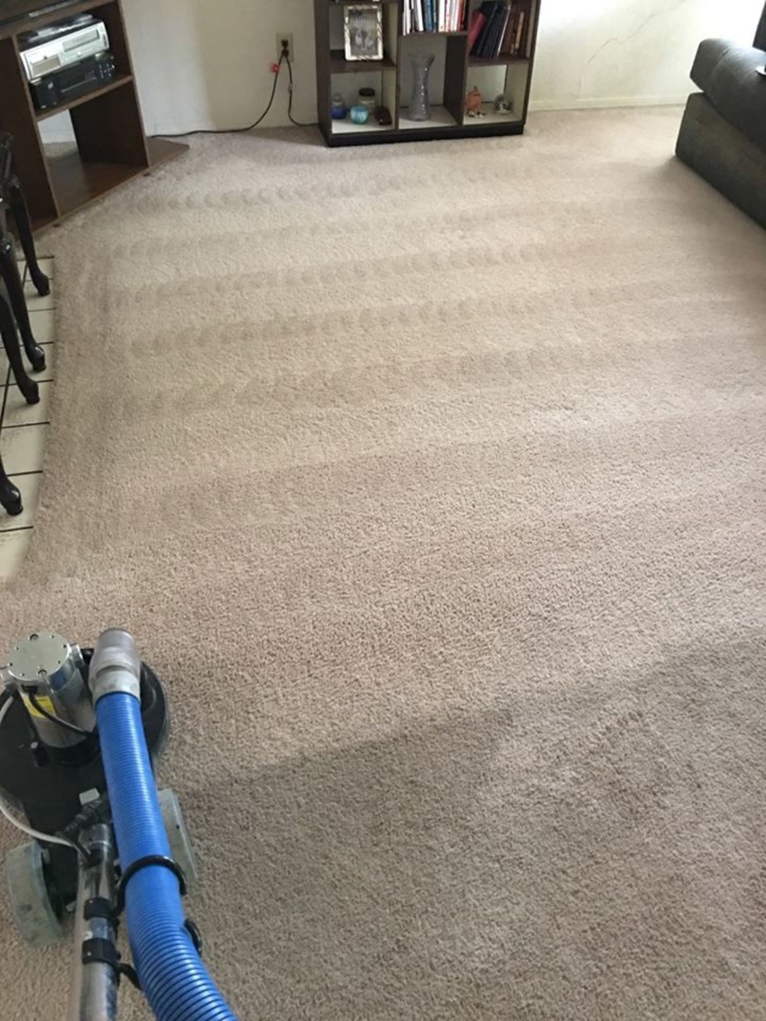 A vacuum cleaner is cleaning a carpet in a living room.