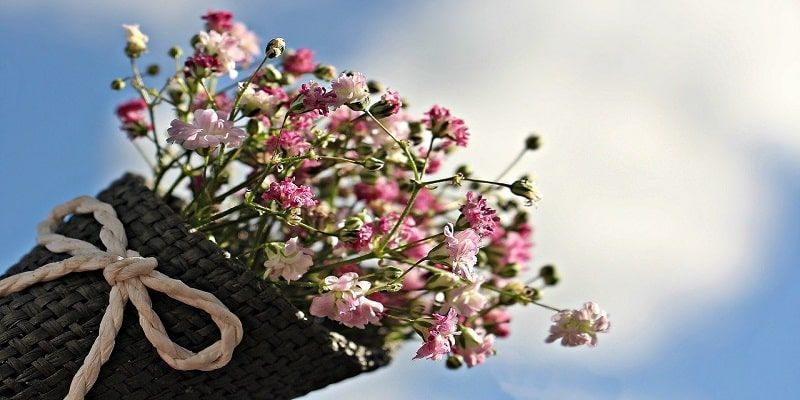 cremation services in Unionville, PA