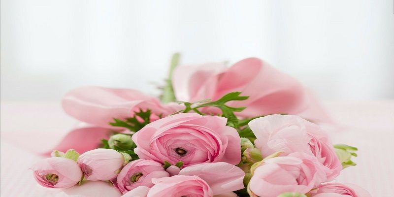 cremation services in Chadds Ford Township, PA