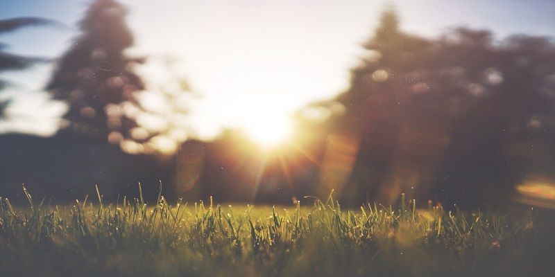 cremation services in West Grove, PA