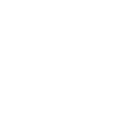A blue shield with a padlock on it.