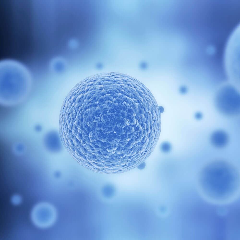 Prevención del cáncer
