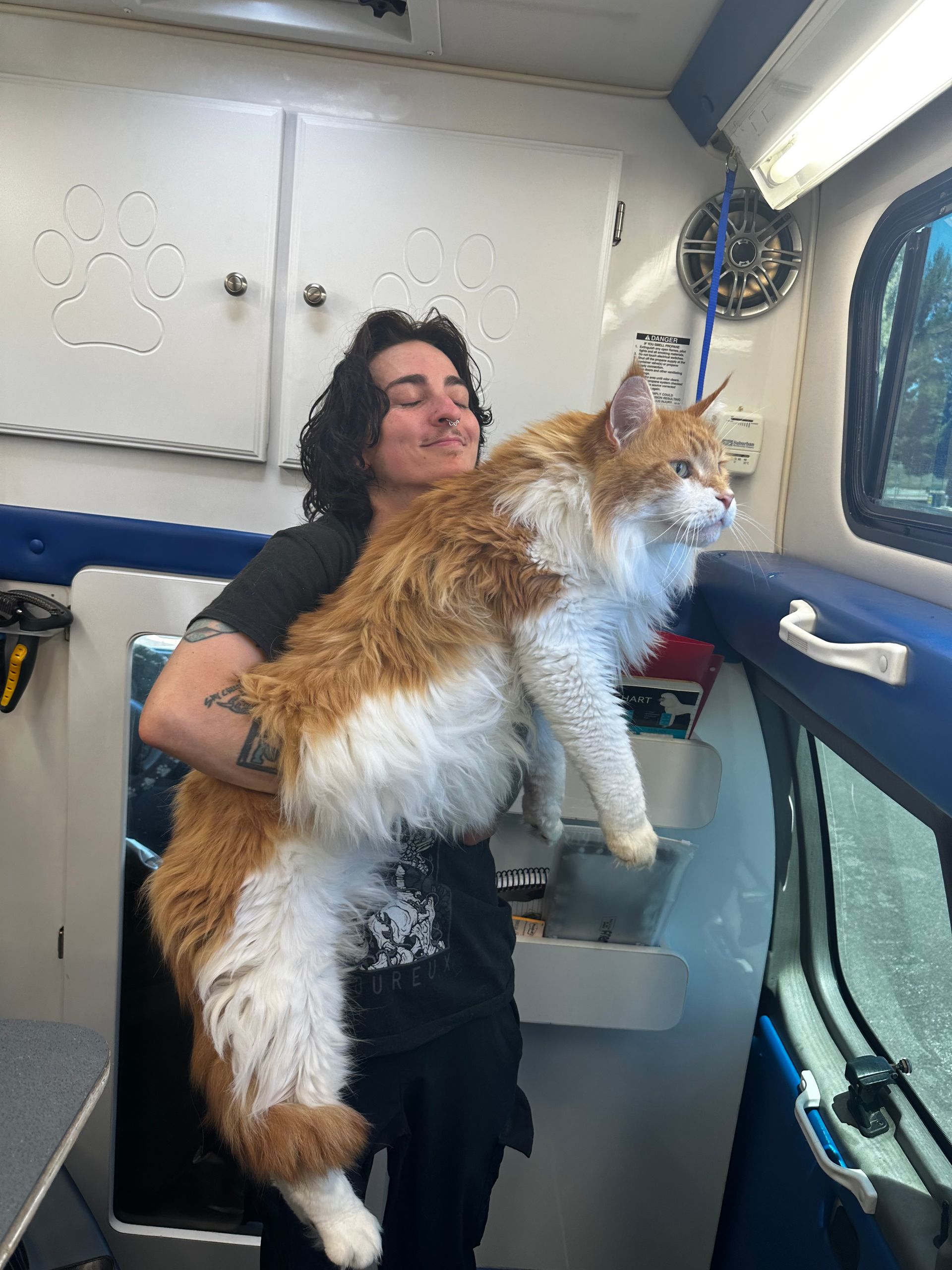 Brandon holding a calm Maine Coon Tim looking out the van window after a cat grooming in Folsom, California.