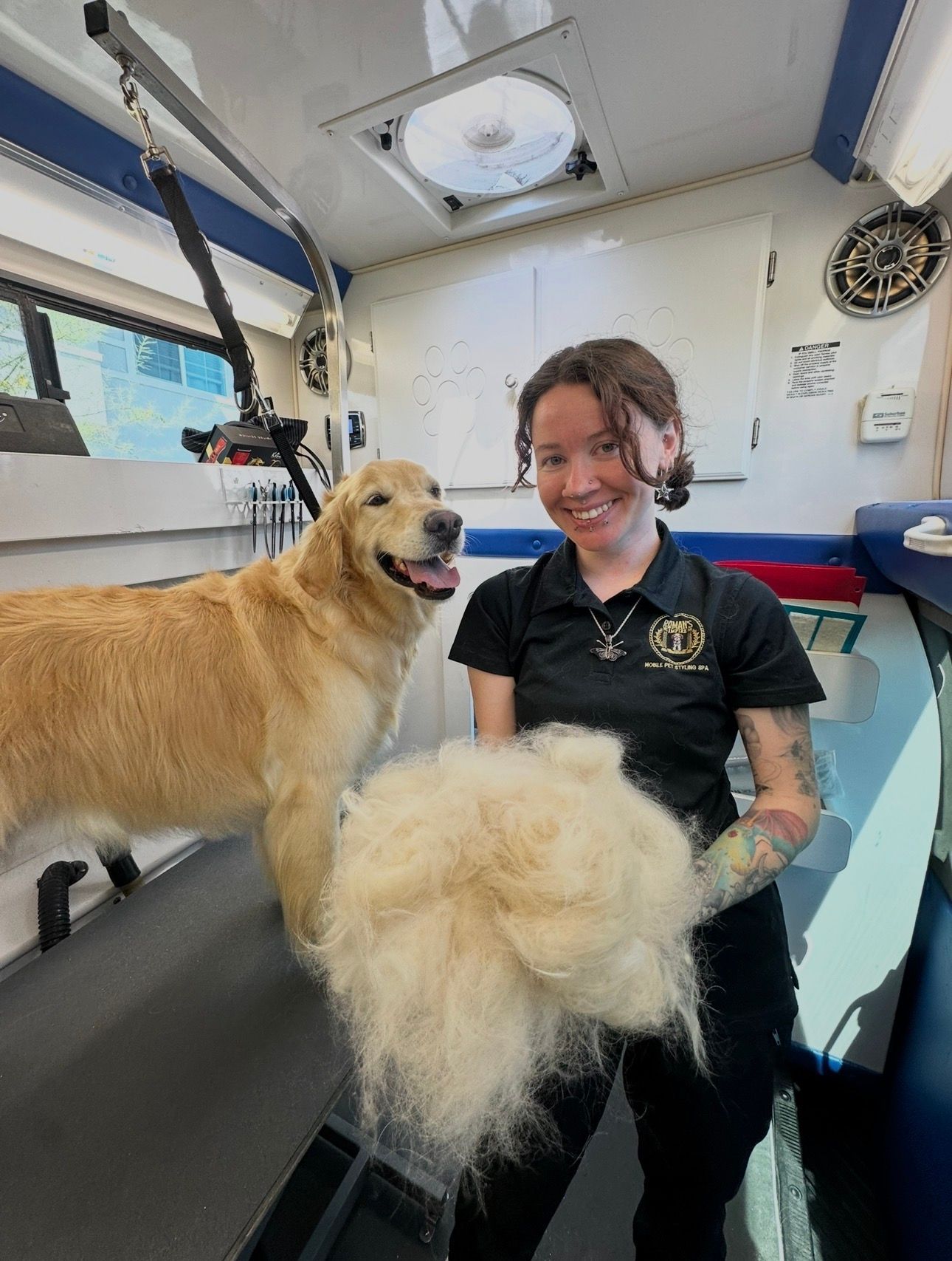 Buddy the golden retriever getting a calm and relaxing deshed by Ottillie in El Dorado Hills, CA