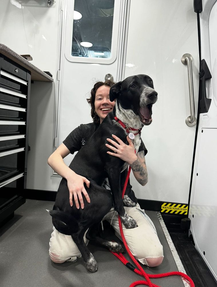 Ottillie with a happy black and white lab in the entrance of the van in El Dorado Hills, CA