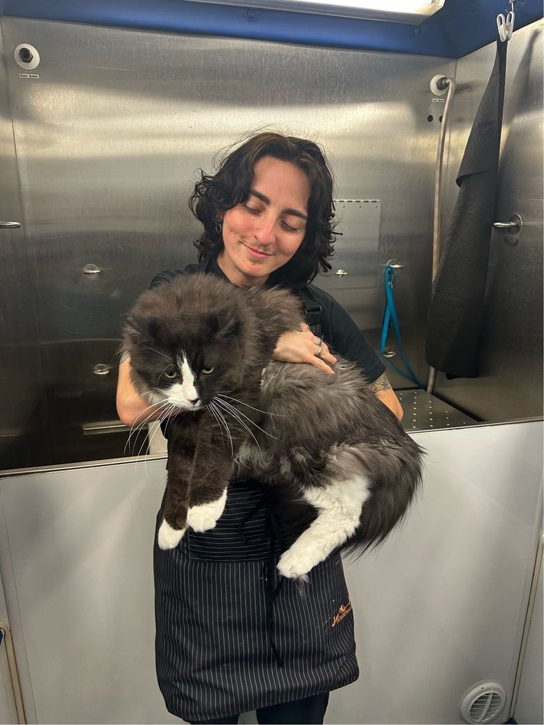 Brandon Holding Louie the Maine coon before a service in Granite Bay, CA