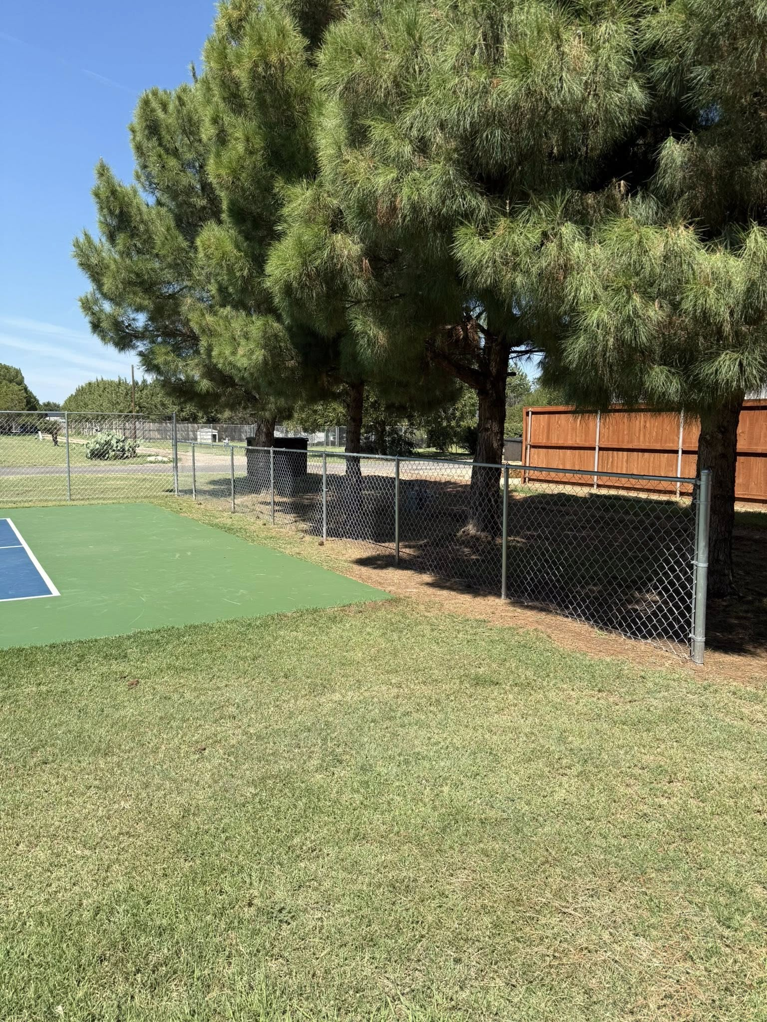 Lush green trees beside a chain-link fence next to a blue tennis court and lawn under a sunny sky.