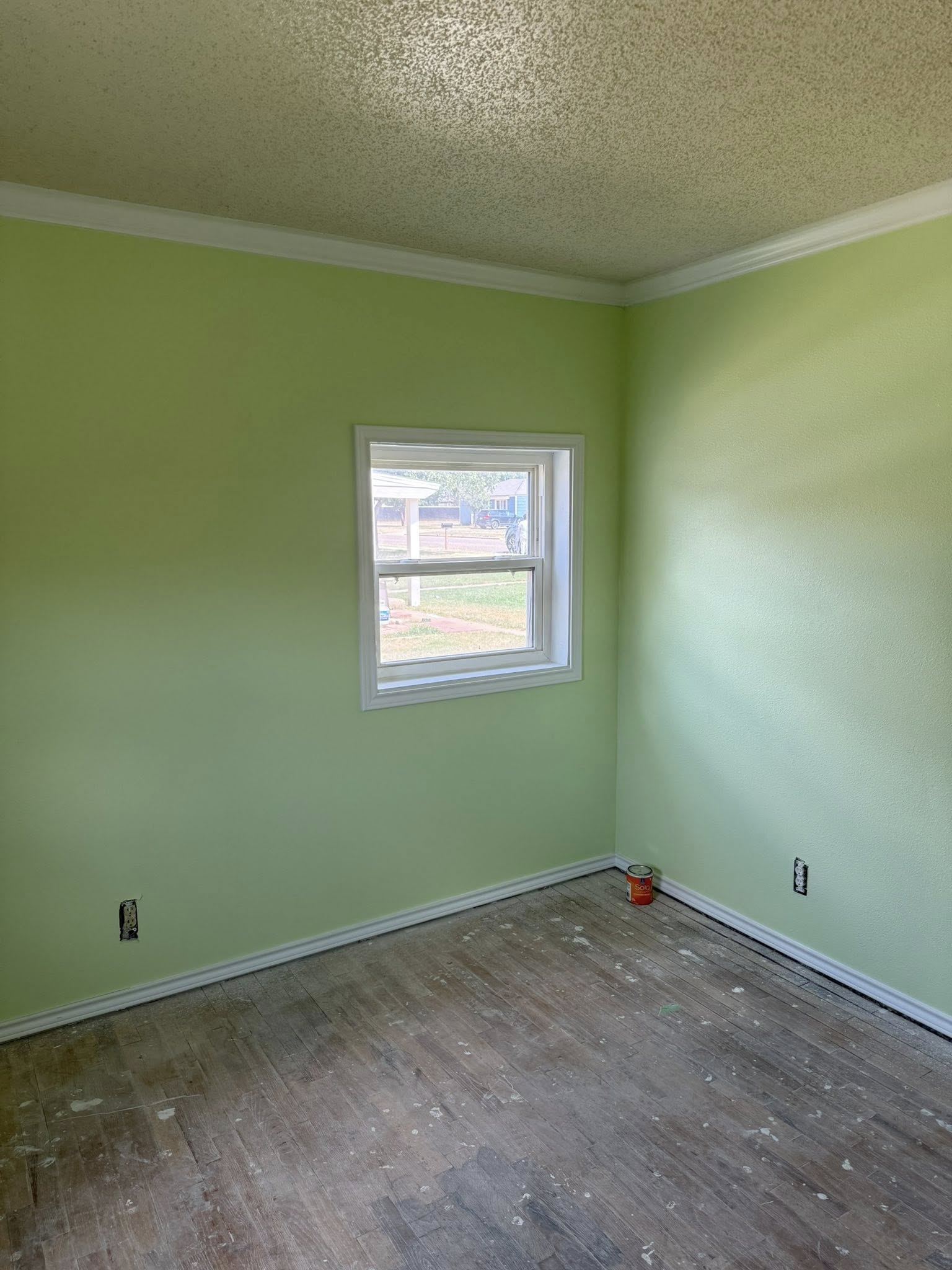 Empty room with green walls, white trim, a window, and wood-look floor.