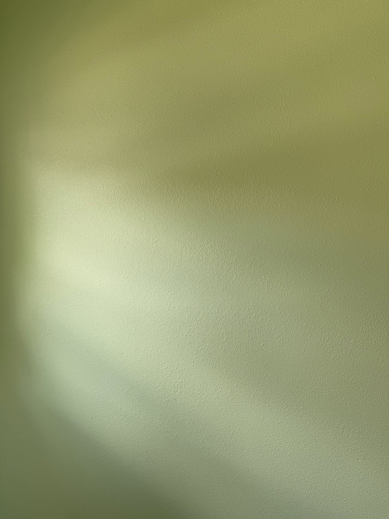Green, textured background with a gradient from dark to light, possibly wall.