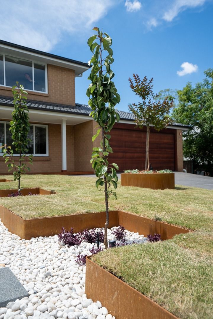 A tree in a planter in front of a house