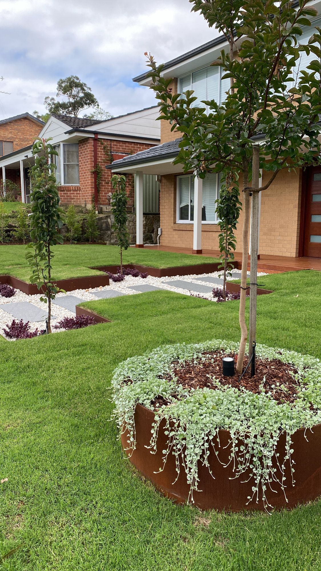 A tree in a large pot in front of a house.