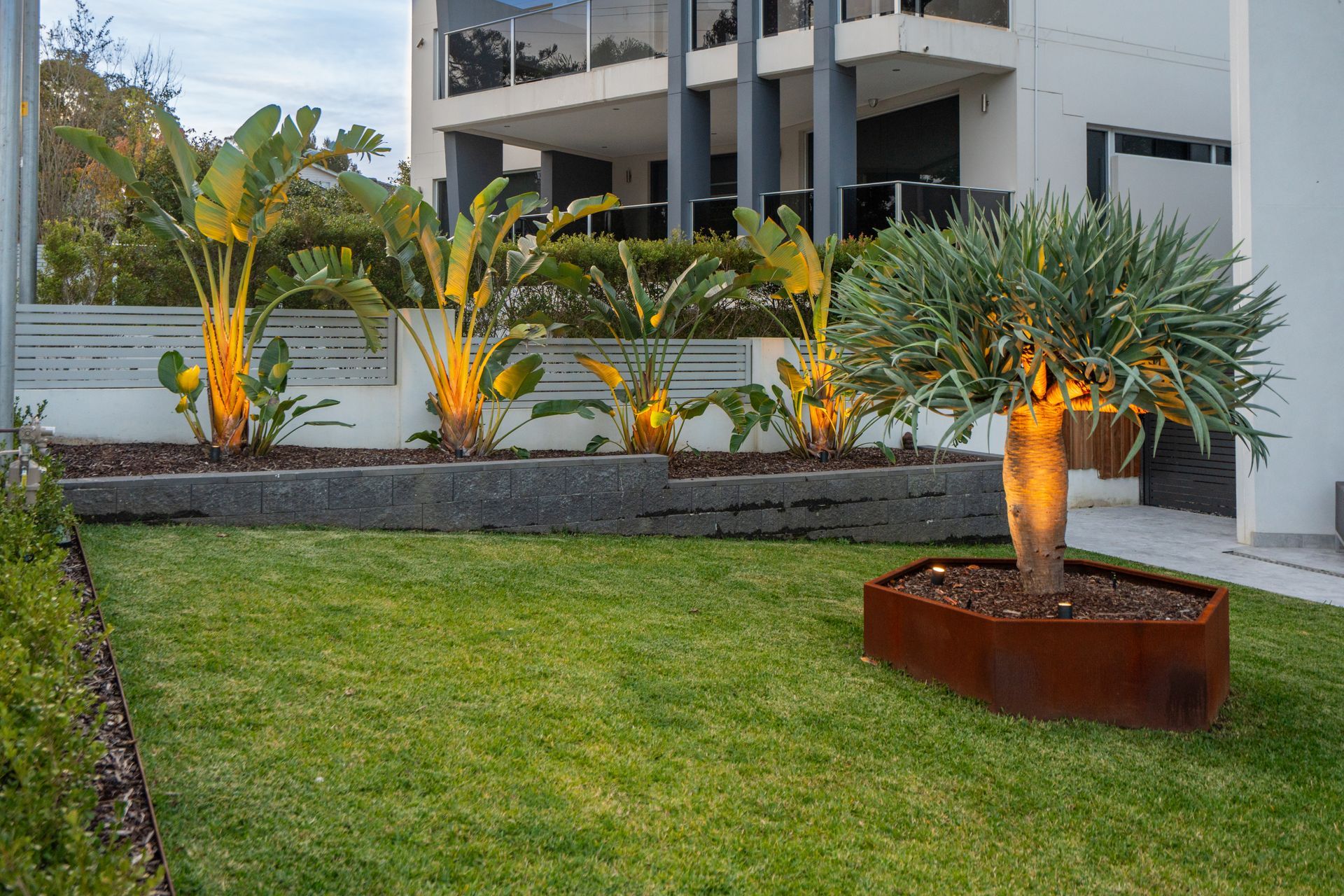 Lush green lawn with a tree in a rusty metal planter and tropical plants along a modern building.
