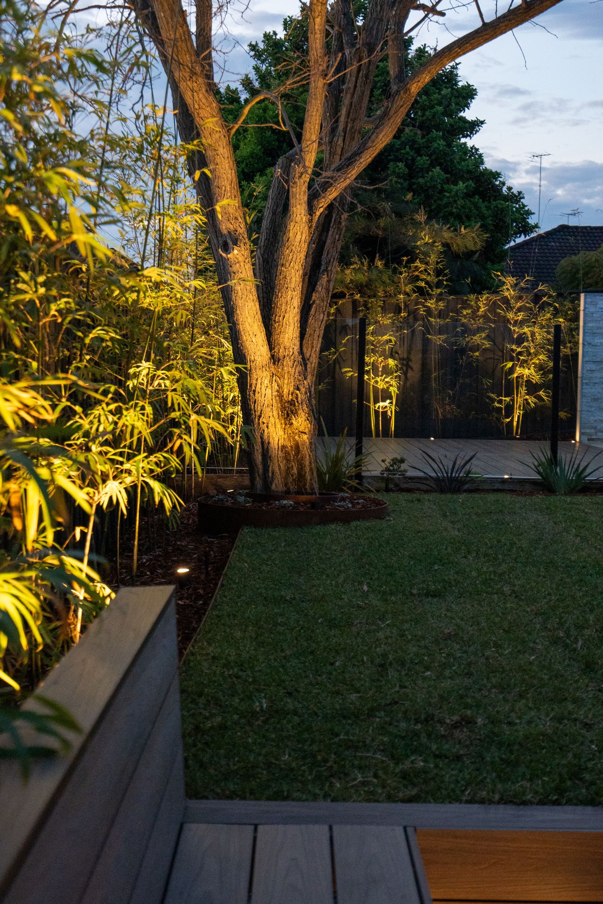 A tree is lit up in the middle of a backyard.