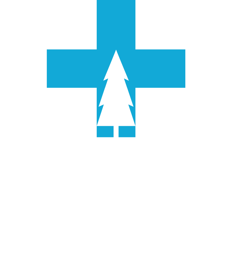 Lodgepole Solutions Logo