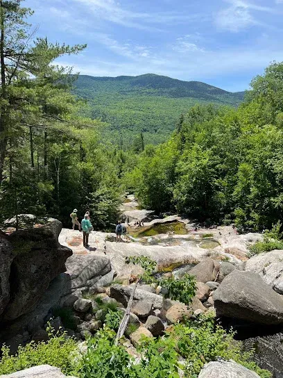 Chimney-Sweep-Portland-A group of people explore rocky terrain surrounded by lush green forest and distant mountains under a clear blue sky, conveying adventure and tranquility.
