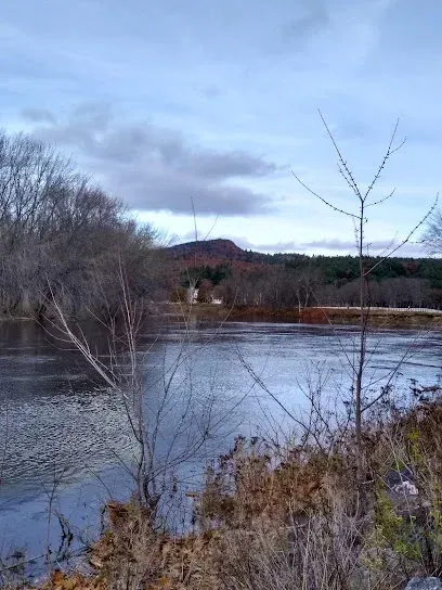 Chimney-Sweep-Portland-A view across a dark river toward a forested hill under a cloudy blue sky, framed by bare branches and dry brush in the foreground.