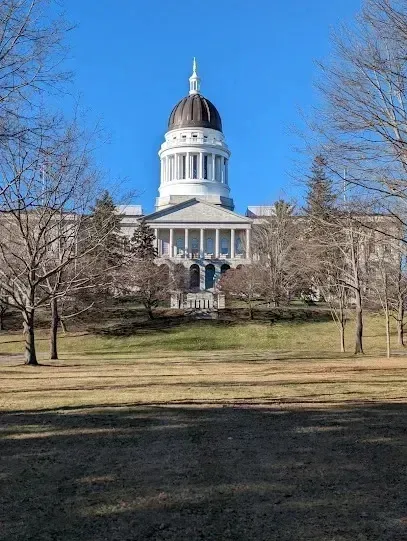 Chimney-Sweep-Portland-The Maine State House with a dome and classical facade is viewed through bare trees against a clear blue sky.