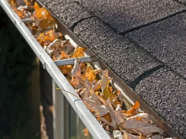Chimney Sweep Portland- A gutter filled with leaves on the roof of a house.