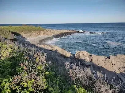 Chimney-Sweep-Portland-A view of the ocean from a rocky cliff.