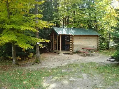Chimney-Sweep-Portland-Log cabin with a green roof set in a lush forest with vibrant green and yellow leaves. A wooden picnic table nearby adds a rustic, tranquil feel.