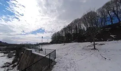 Chimney-Sweep-Portland-A snowy landscape featuring a dam wall, fence, bare trees on a hillside, and a cloudy sky with patches of blue.