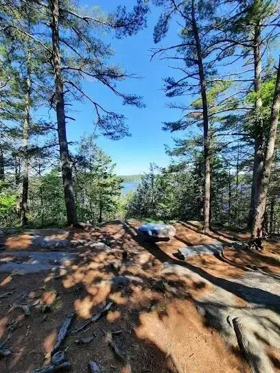 Chimney-Sweep-Portland - Pine trees frame a view overlooking a calm lake from a rocky, wooded trail on a sunny day.