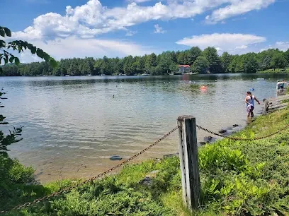 Chimney-Sweep-Portland-A serene lakeside scene with clear water, a tree-lined shore under a blue sky with clouds, and two children playing near the edge of the water.