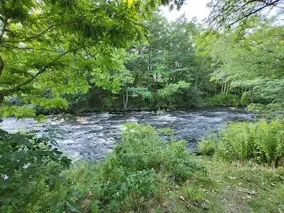 Chimney-Sweep-Portland-A wide, dark river flows through a lush green forest with trees and foliage along the banks.