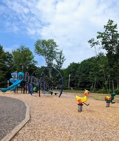 Chimney-Sweep-Portland-Playground with blue slides and swings under a partly cloudy sky. Colorful duck and frog spring riders are on wood-chip ground, surrounded by green trees.