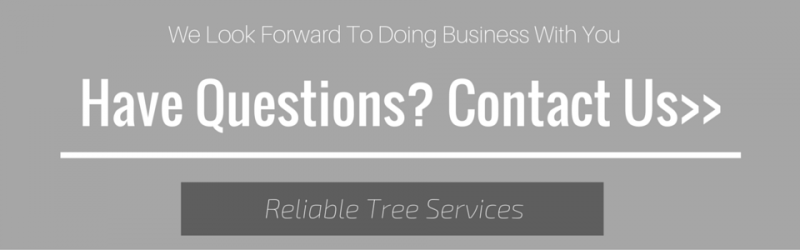 Grey background with white font stating Questions? Contact Reliable Tree Service