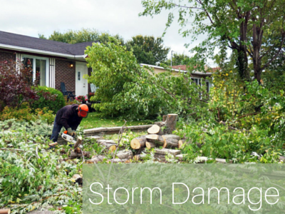 A person uses a chainsaw to clear fallen tree branches and debris from a residential yard after a storm.