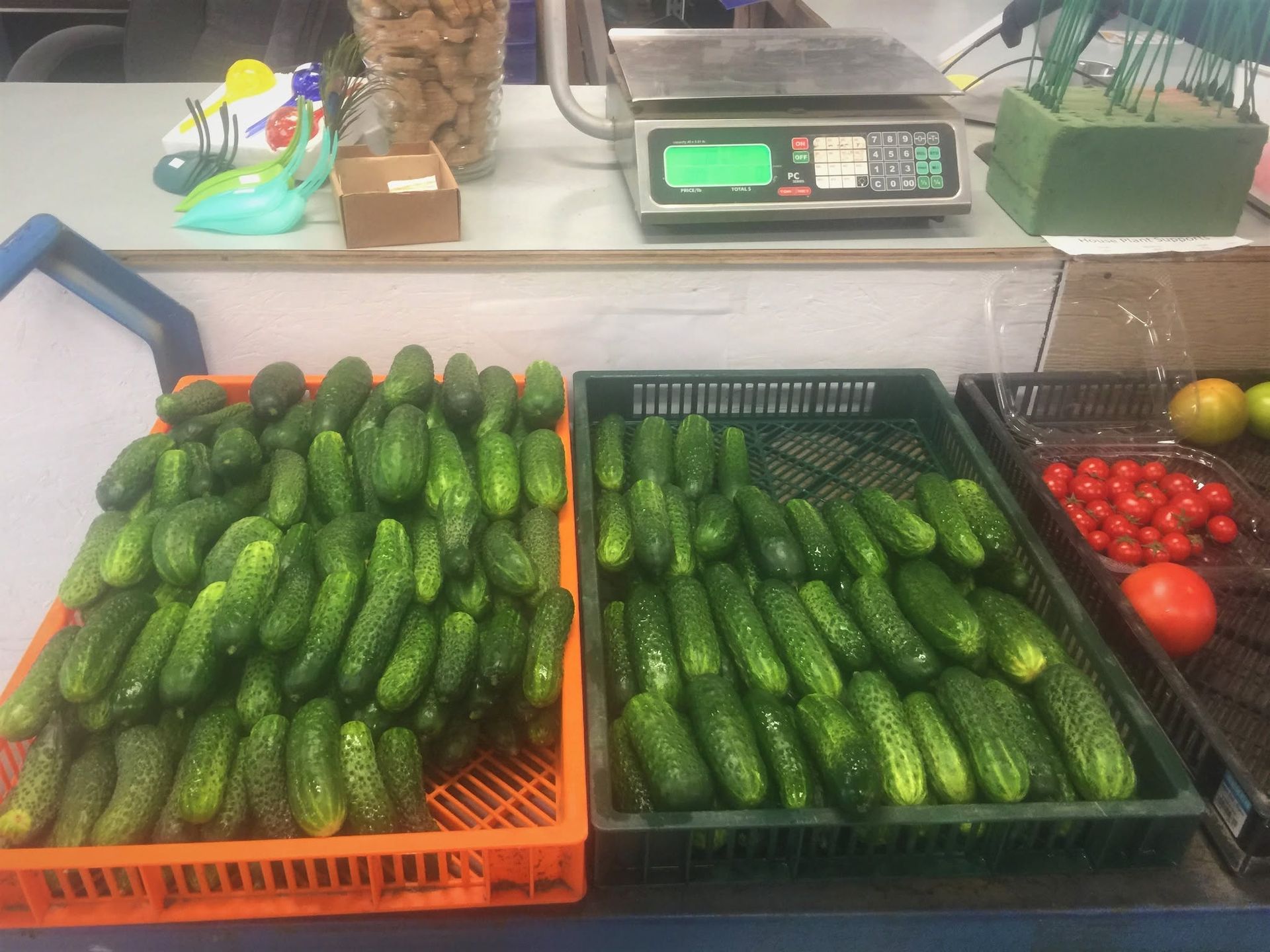 Fresh cucumbers and cherry tomatoes displayed in plastic crates at a market stand