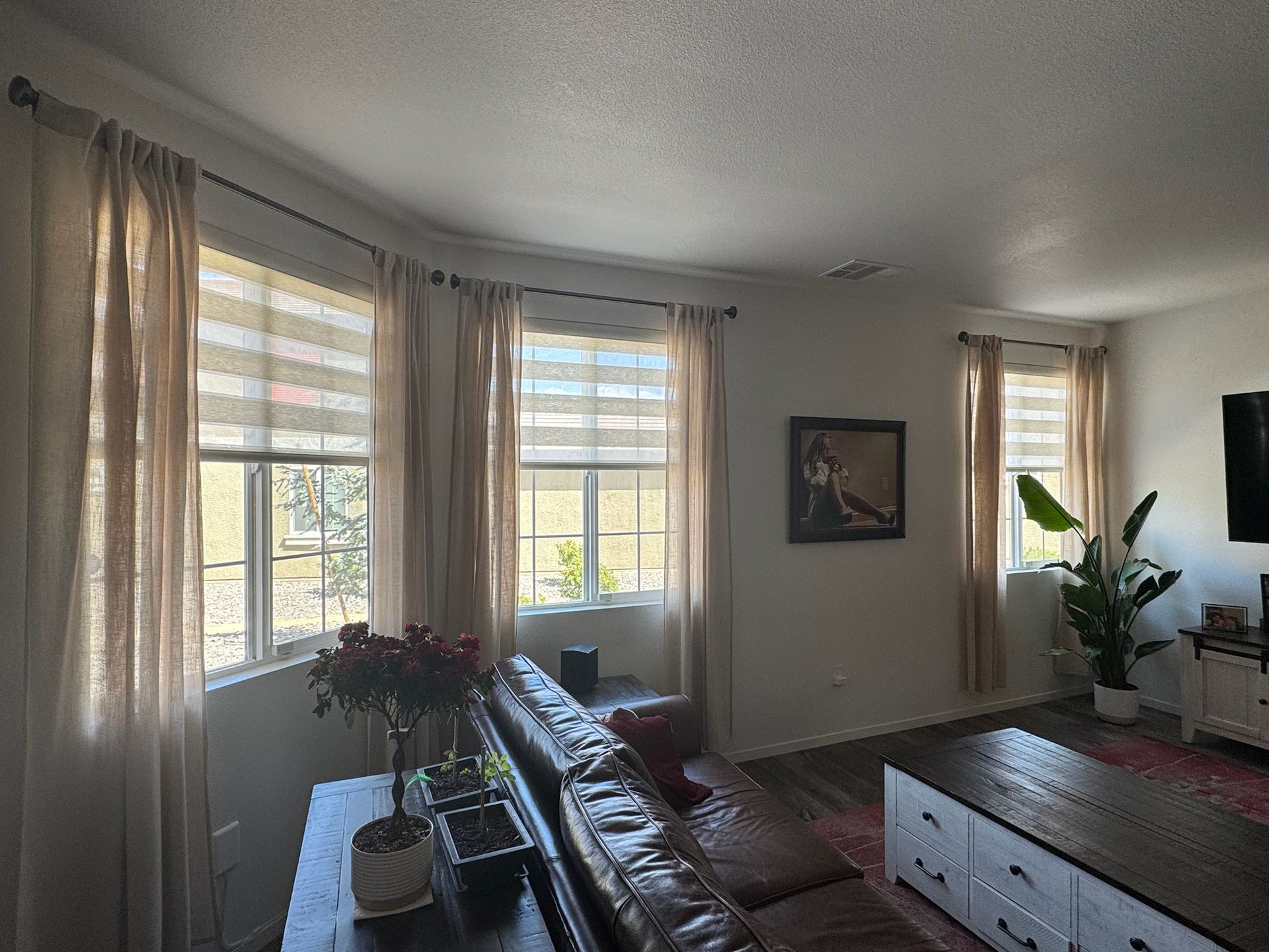 Bright living room with a sectional sofa, large windows, sheer curtains, and indoor plants
