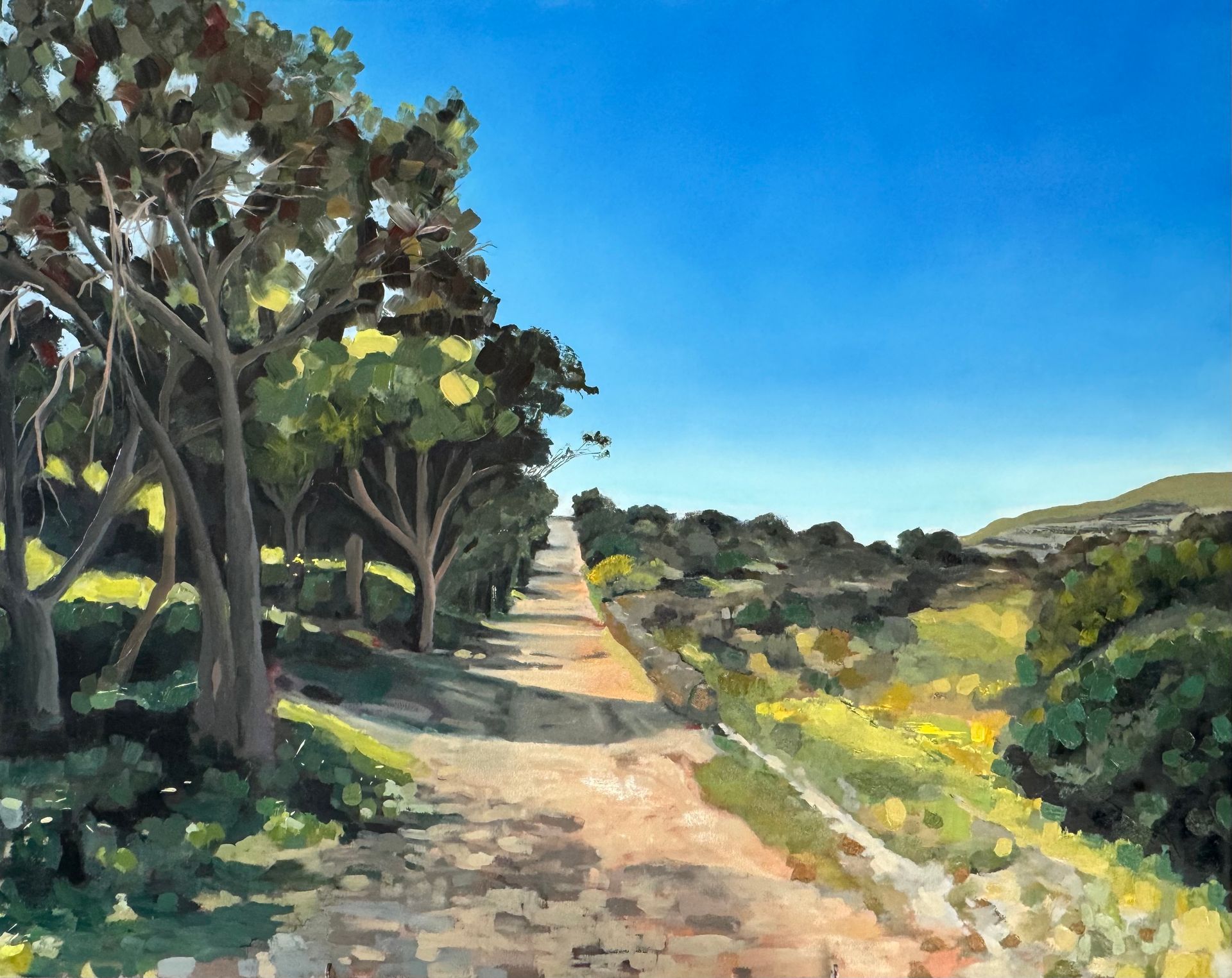 Sunlit dirt path beside trees and shrubs under a bright blue sky